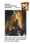 Band 78 - 2020 - Karst and caves of the Serra da Bodoquena, Mato Grosso do sul state, Brazil vignette