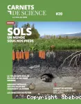 Les sols, un monde sous nos pieds vignette